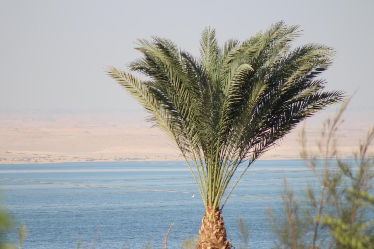 Kom El Dikka Agri Lodge ‘Izbat an Nāmūs Oda fotoğraf